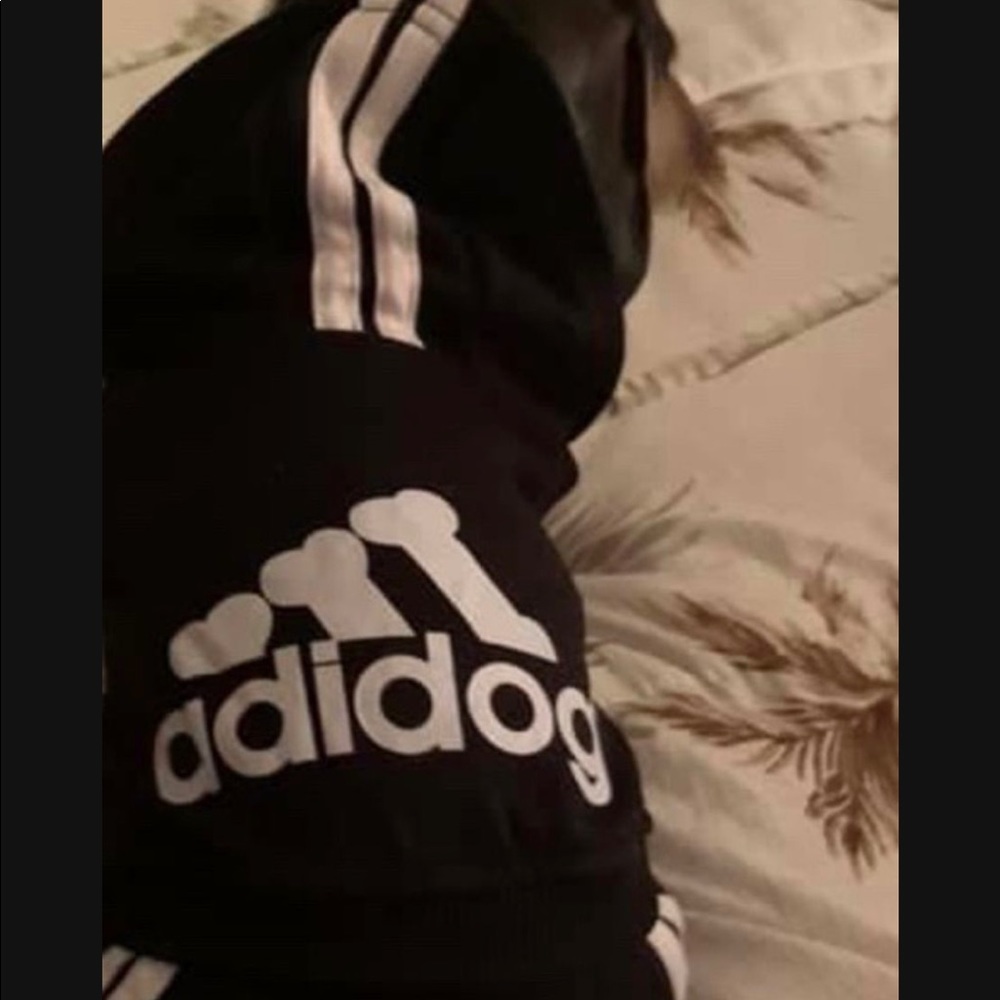 2 Adidas doggy outfits